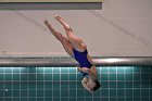 Women's Diving  Wheaton College Women’s Diving vs Mount Holyoke College. - Photo by Keith Nordstrom : Wheaton, Swimming & Diving